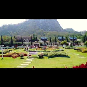 Meet your Posher, Jan